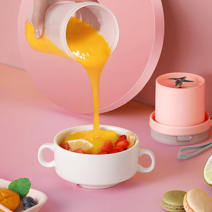 USB Portable Blender & Smoothie Cup